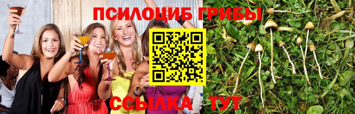Ставрополь  Галлюциногенные грибы ЛСД  Вход с VPN 